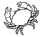 Crab