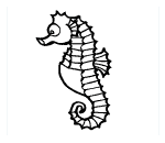 Seahorse